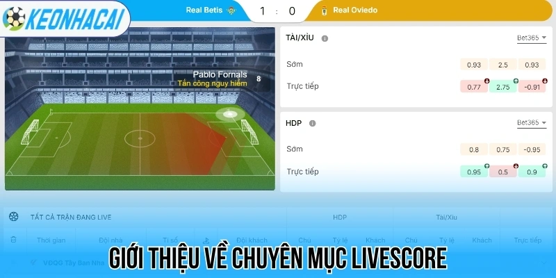 Livescore – Trực Tuyến Bóng Đá 247 Chi Tiết Và Chính Xác 119 Giới thiệu về chuyên mục livescore